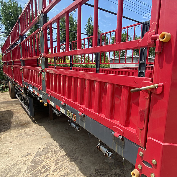 20230705-_0010_IMG_0569