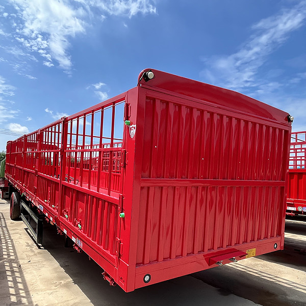 20230707-_0040_IMG_3094