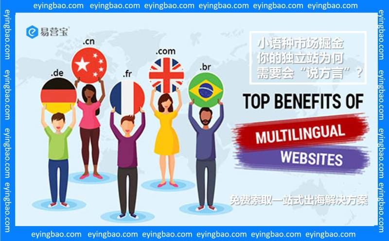 استكشاف أسواق اللغات الصغيرة: لماذا يحتاج موقعك المستقل إلى 