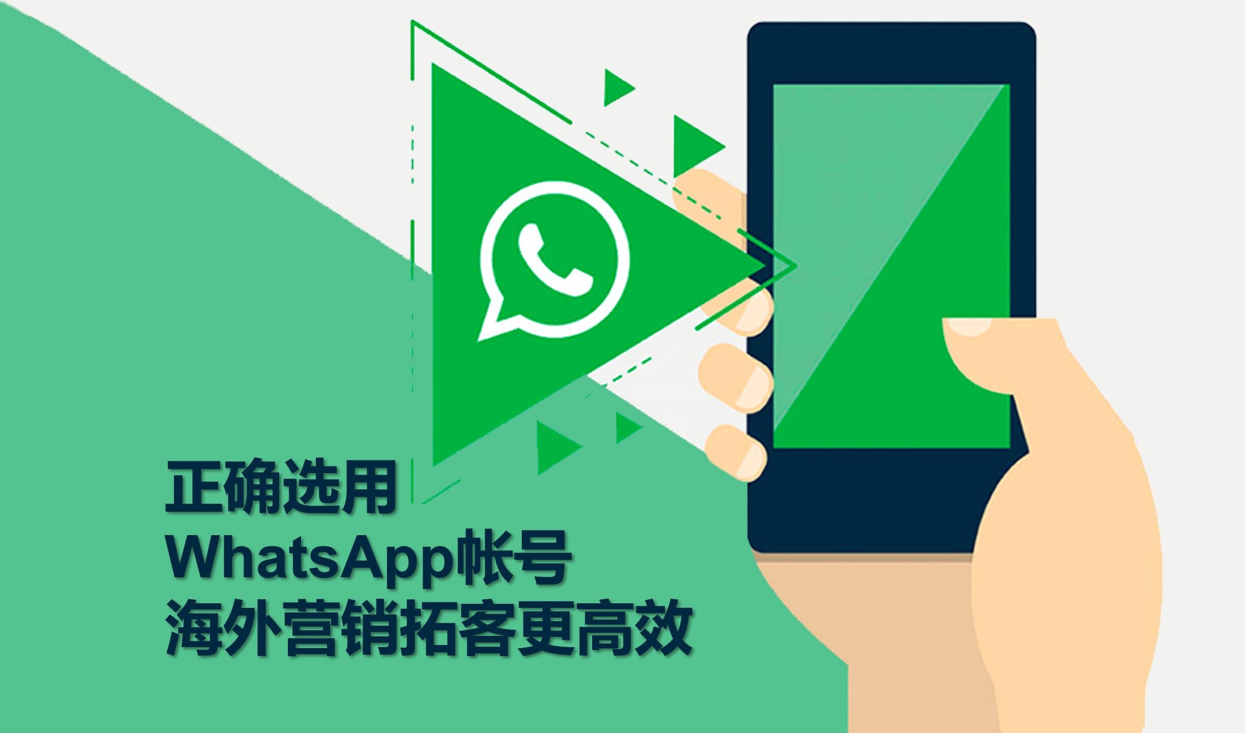 La elección de cuentas de WhatsApp tiene sus secretos: análisis profundo de criterios de selección, ¡recomendado guardar!