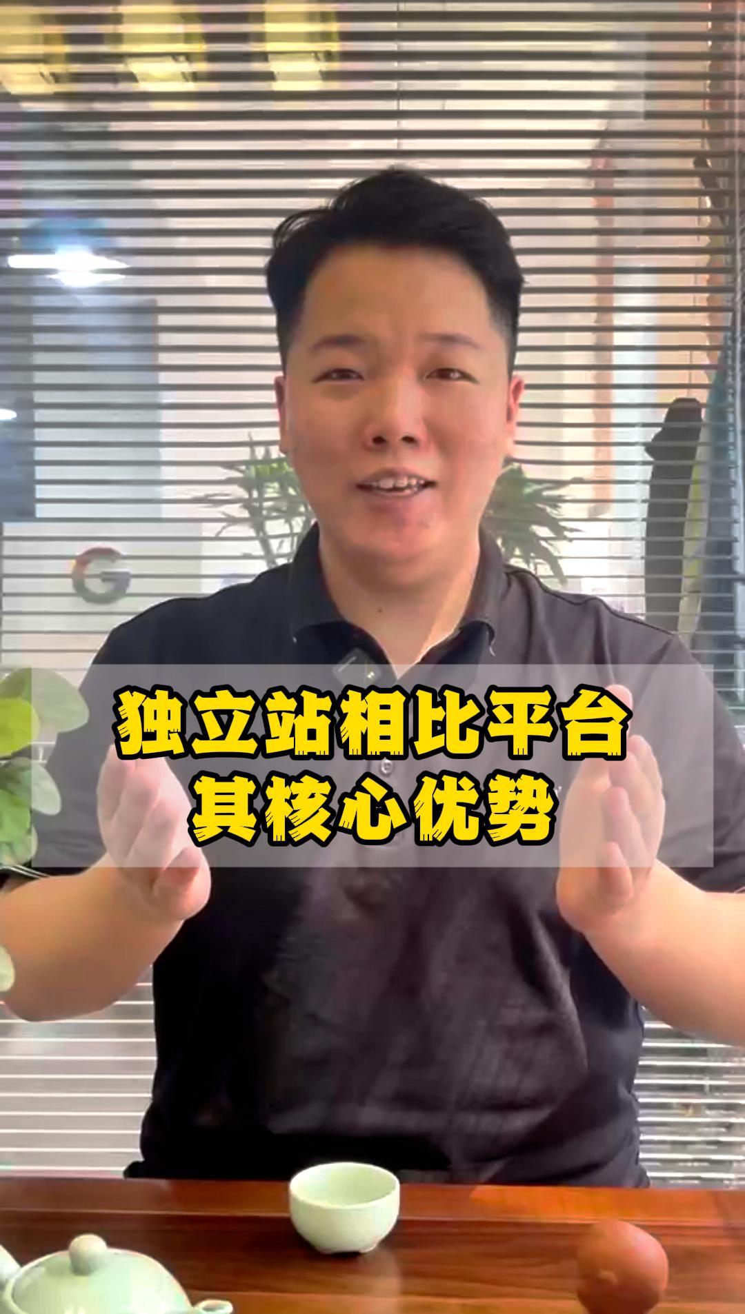 独立站相比平台核心优势