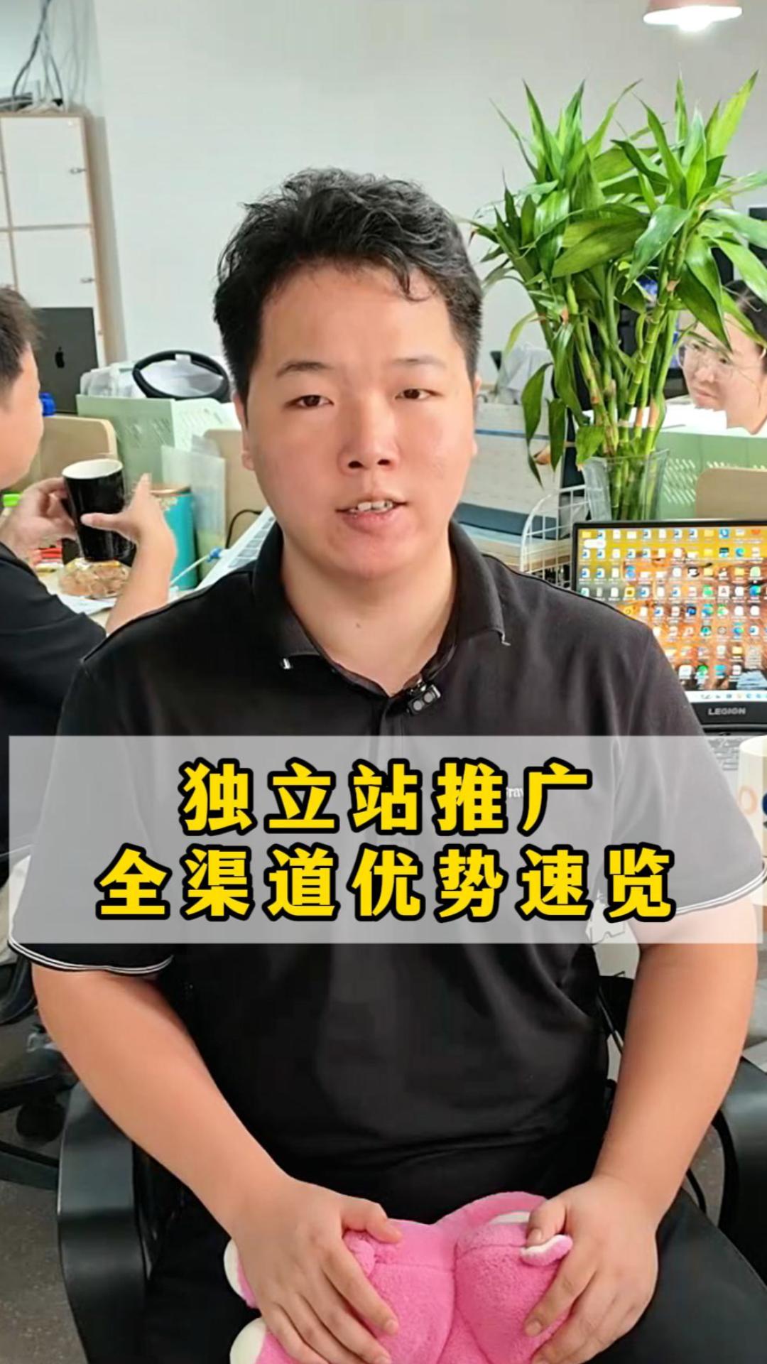 独立站推广全渠道优势速览