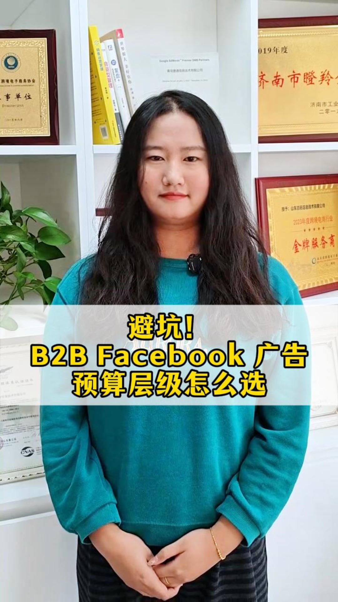 Vermeiden Sie Fallstricke! So wählen Sie die richtige Budgetstufe für B2B-Werbung auf Facebook