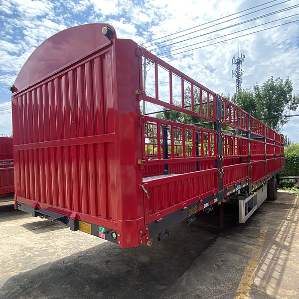 20230705-_0012_Capa 5