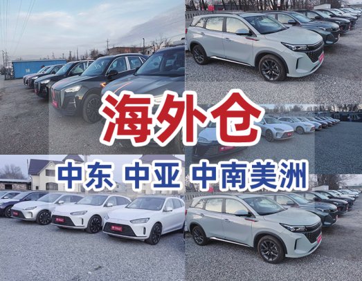 Deeply cultivate overseas markets, establish overseas warehouses, forming dedicated overseas teams, and continue to serve the world