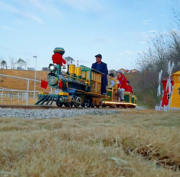 HYC-20座轨道观光火车（骑跨式）