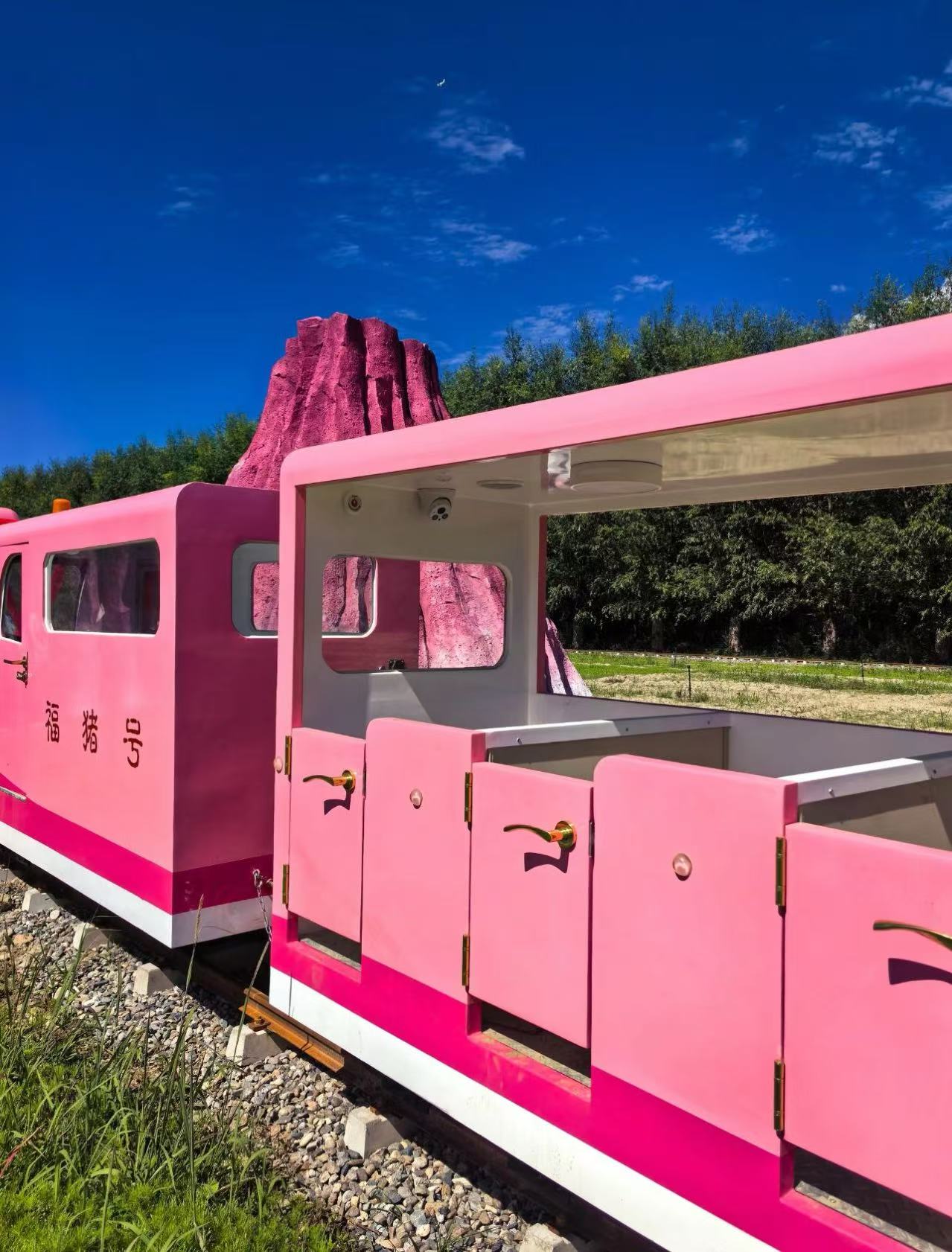 拉萨秀色才纳雪域花谷