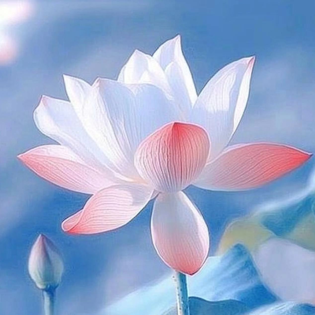 迪拜室内亲子乐园