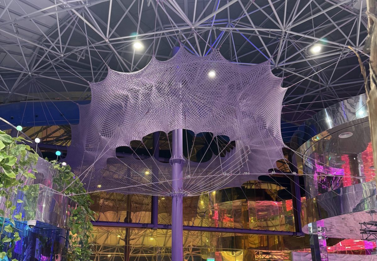 ropecube-anthill-purple-knitted-net-indoor-playground
