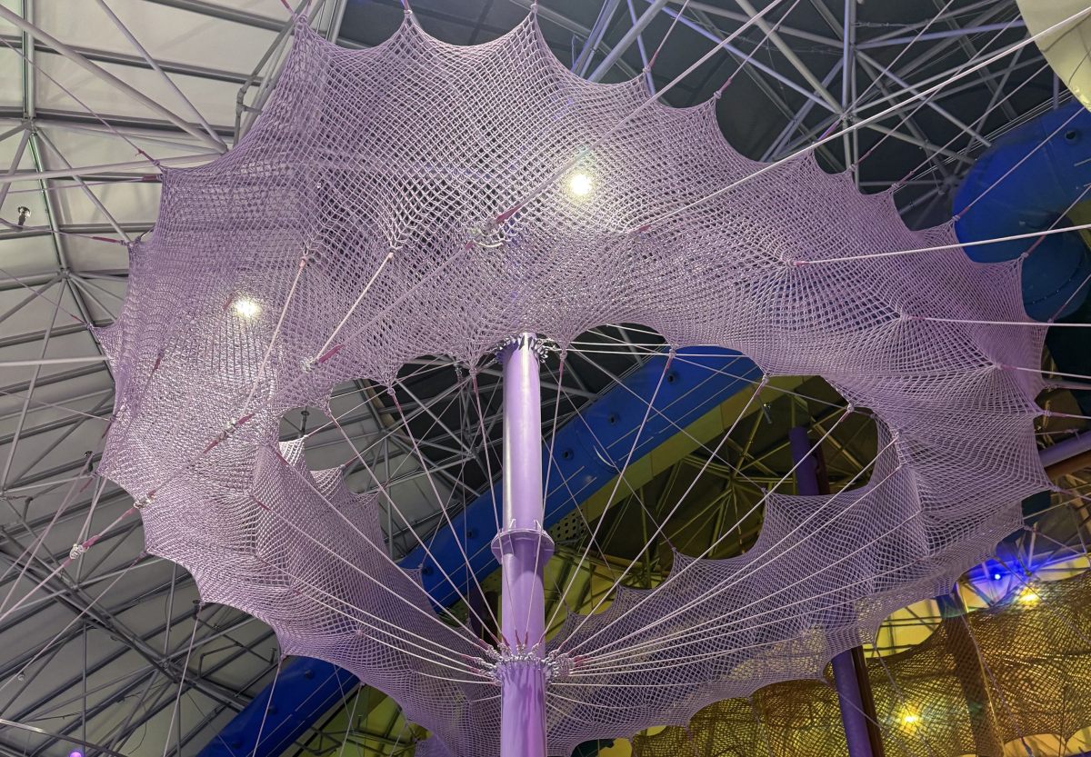 multi-layer-anthill-rope-maze-climbing-holes-ropecube