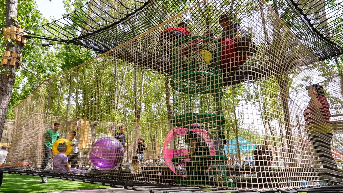 5 5