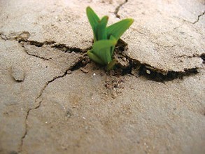 外贸企业如何塑造品牌，突破出口困局