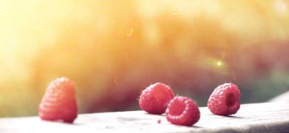 1d1c816c44a1a65b224a322861e1ab5a