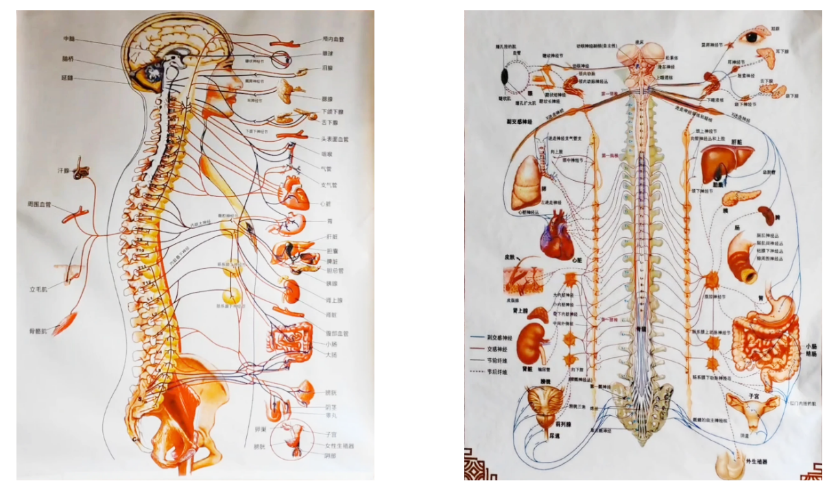 归原诊疗技术介绍