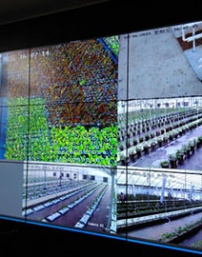 远程大棚监控系统，通过网络调整温度、湿度等