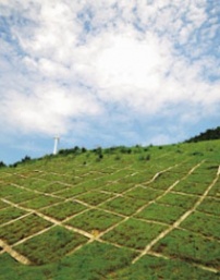 自动收集农业水土用地的土壤水分温度、视频图像