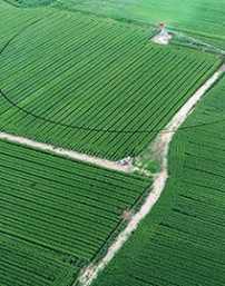 实时监测农业水田空气温湿度、光照强度等数据