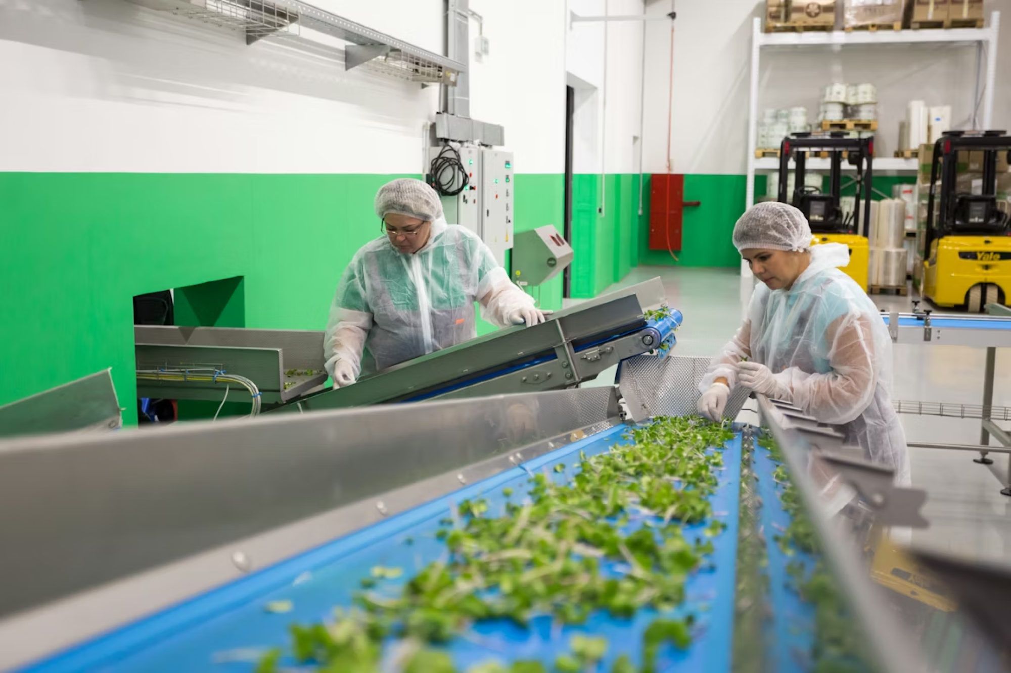 Food Processing Machinery