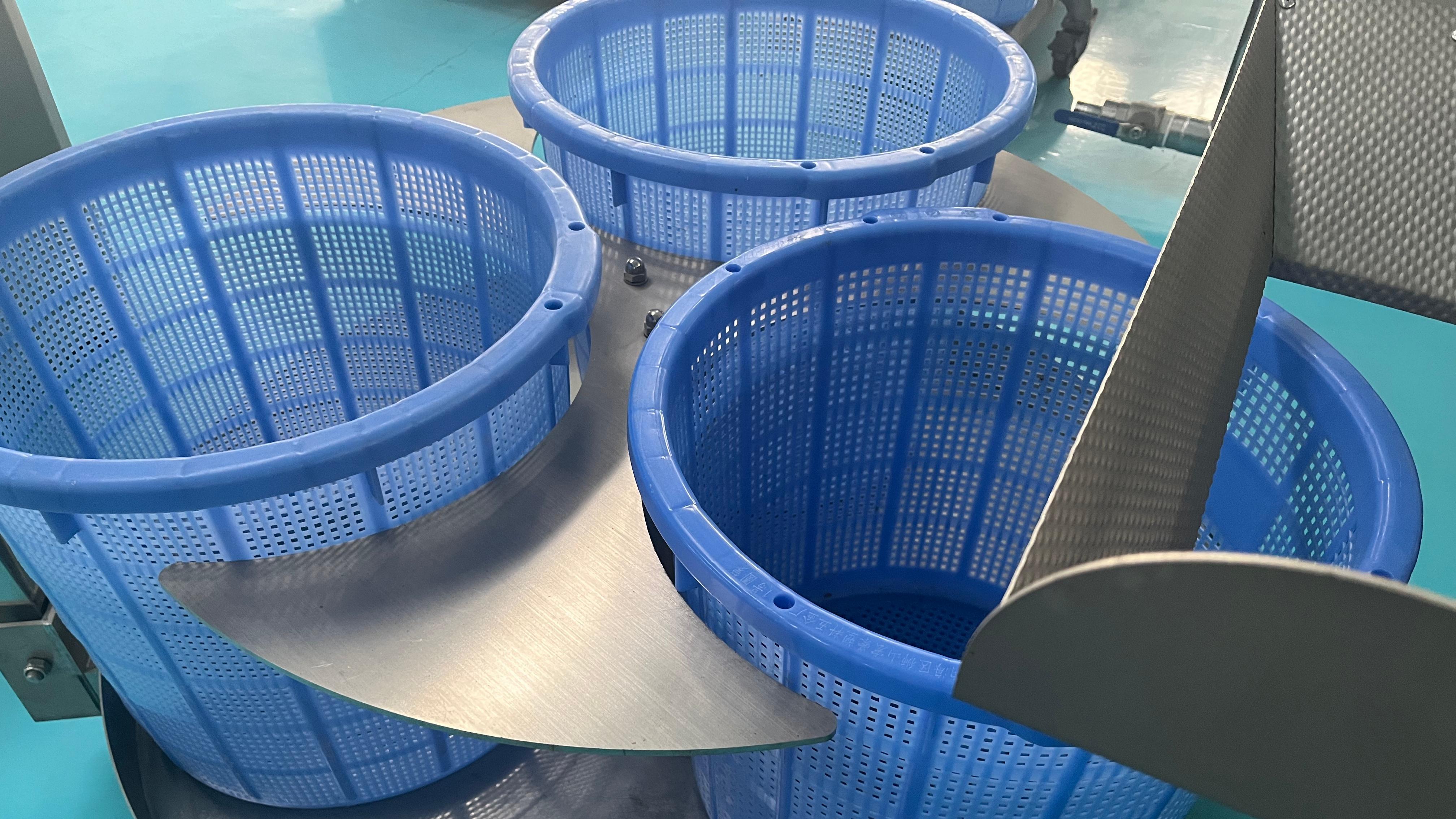 صورة واتساب_20260130162828_2268_387