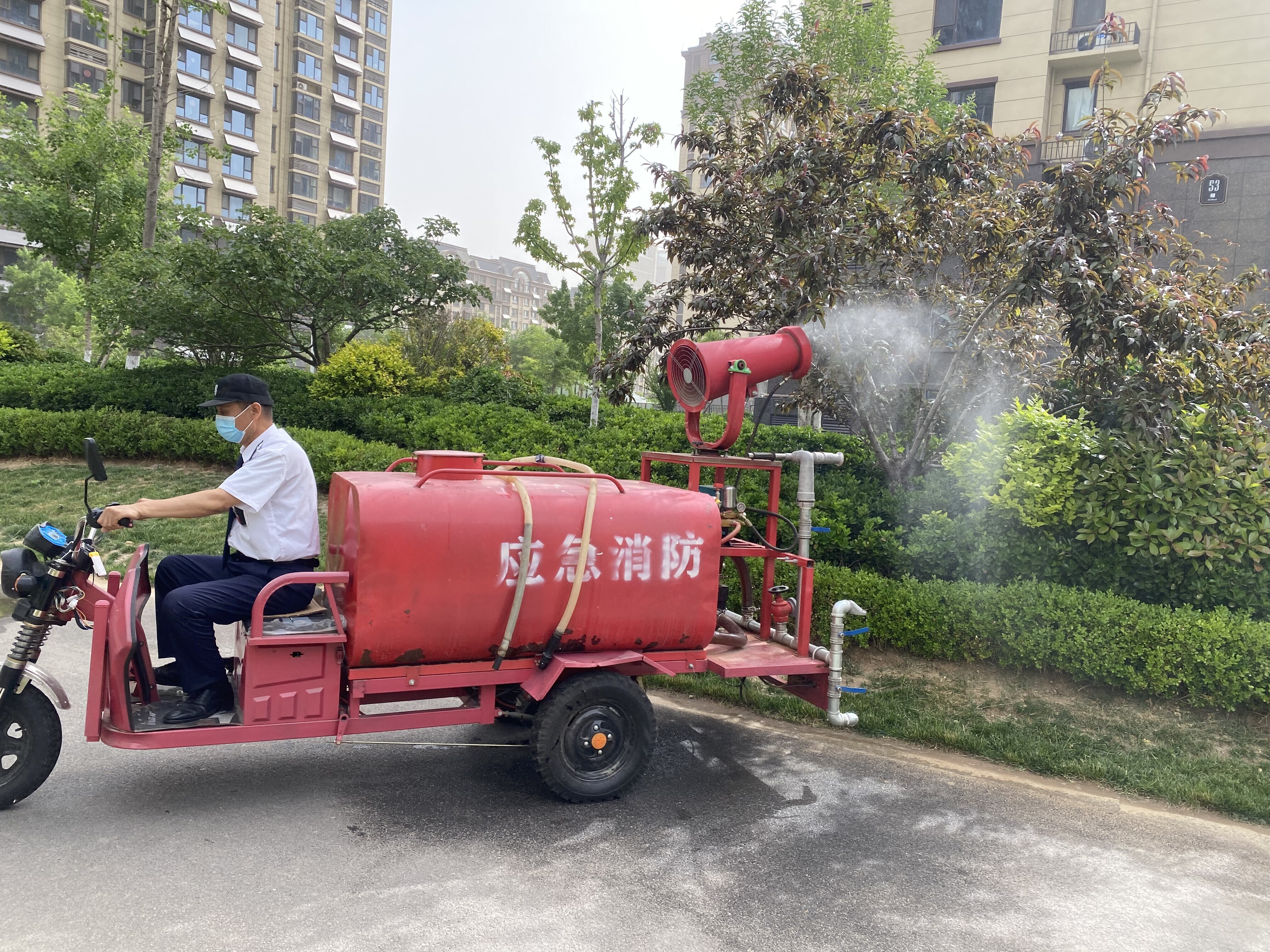 长江物业开展飞絮专项治理行动