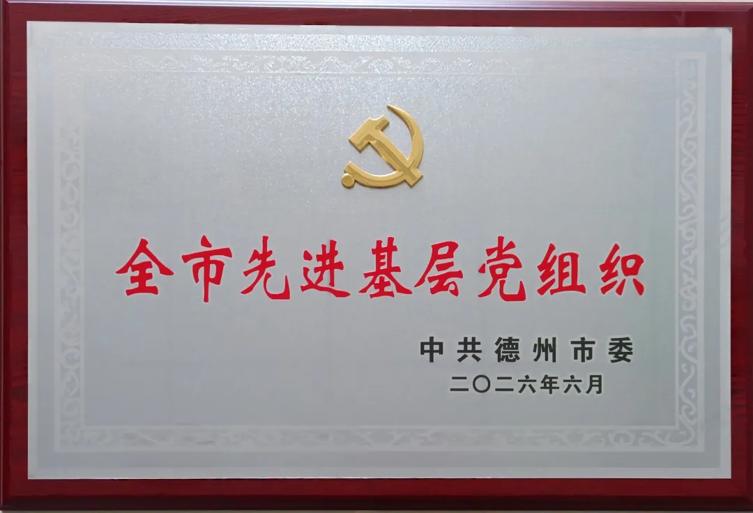 【喜报】长江物业党支部荣获“全市先进基层党组织”称号