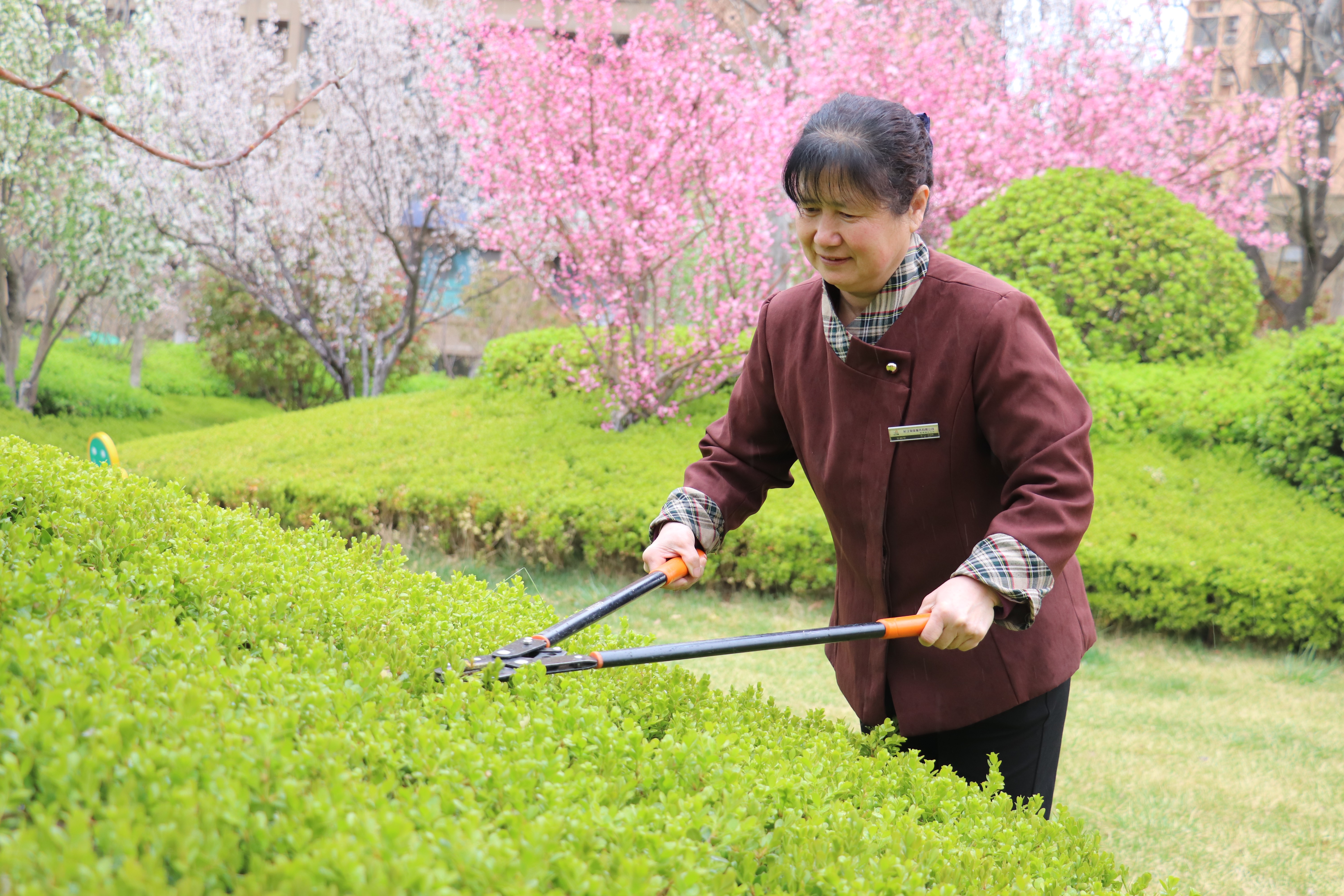 绿化美容师