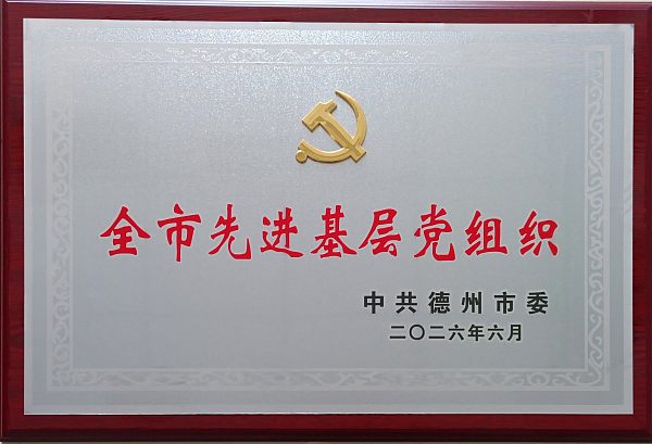 德州全市先进基层党组织