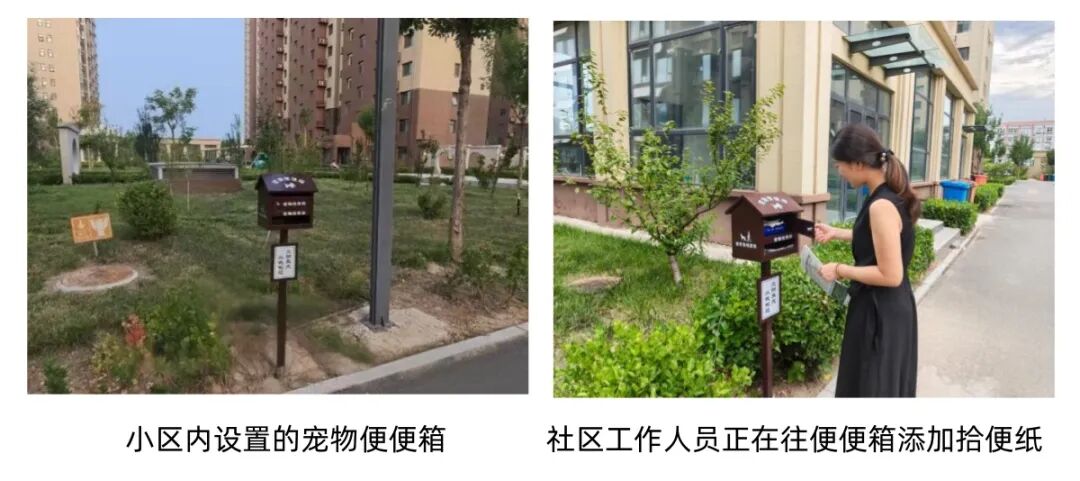 “爱武家园”物业提升 我们在行动——武城紫金花园篇