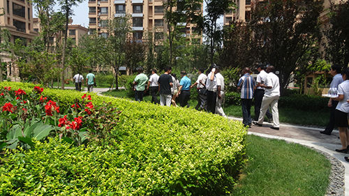 迎接外国友人前来参观