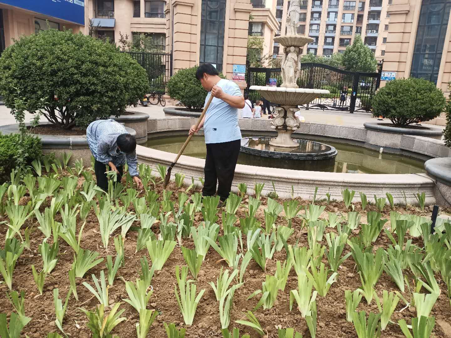 业主捐赠花卉 共建美丽家园 业主捐赠花卉 共建美丽家园