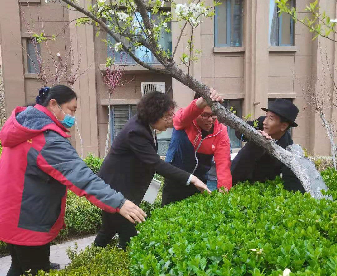 开展绿化知识培训 提升专业服务水准  ——长江物业邀请绿化养护专家为物业工作人员进行培训