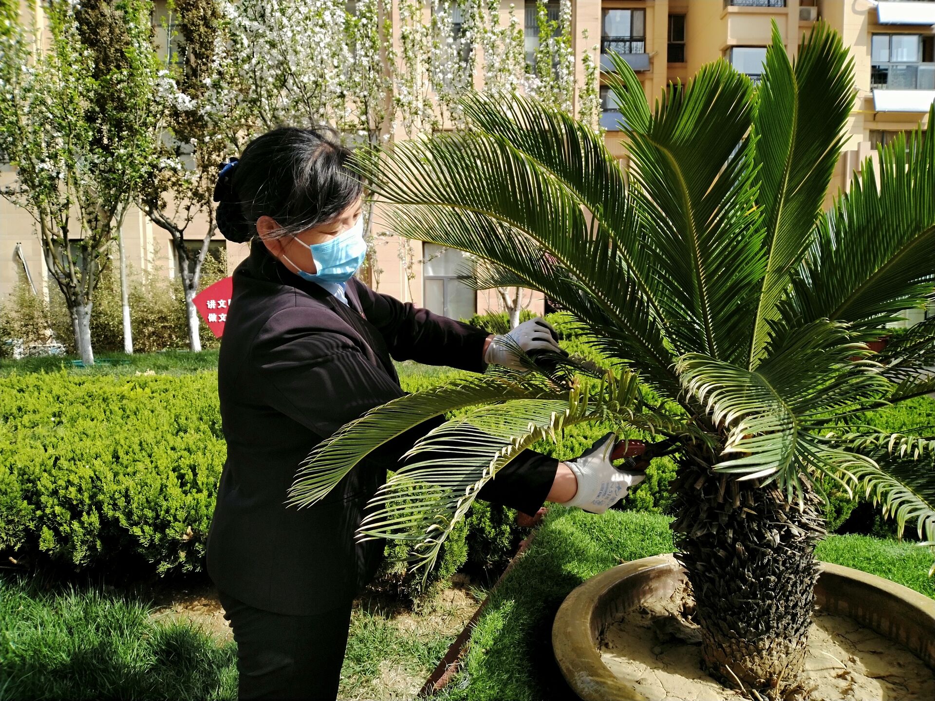 长江物业巴黎城服务中心： 细心防控疫情，巧手呵护春意