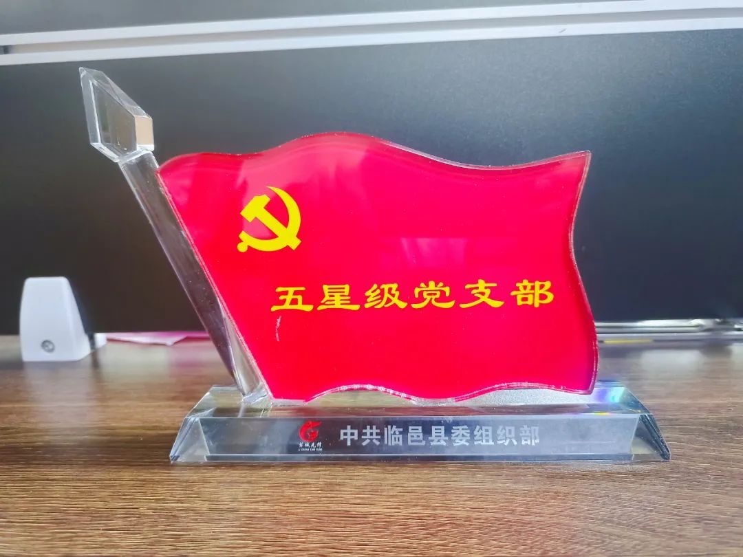 中共临邑县委发布“临邑县先进基层党组织”名单    长江物业临邑分公司党支部入选