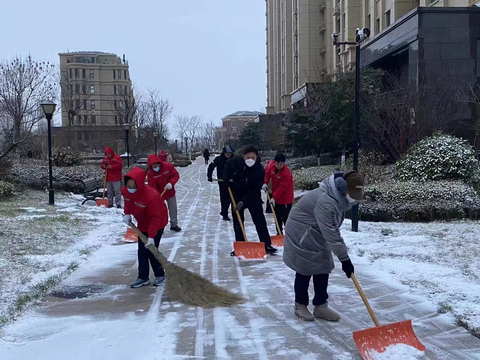 小年降雪后，长江物业启动冰雪天应急预案—“西门吹雪”，东院铲冰