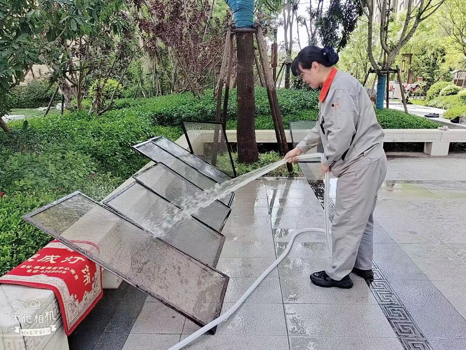 飞絮飘飘沾满纱窗 热心物业上门清洗 飞絮飘飘沾满纱窗 热心物业上门清洗