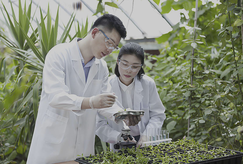 Emergency Supply of Agrochemicals