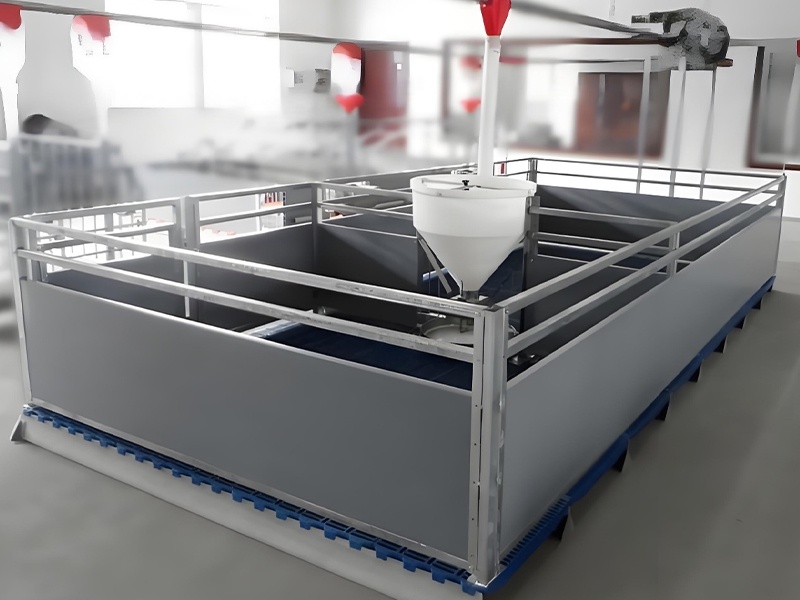 某现代化养殖企业新型PVC硬板保育栏系统应用案例