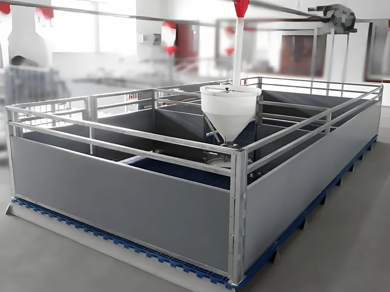 某现代化养殖企业新型PVC硬板保育栏系统应用案例