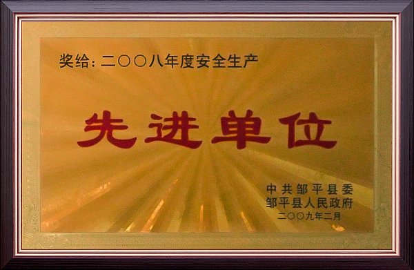 2008先进单位