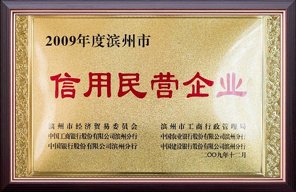 2009信用民营企业