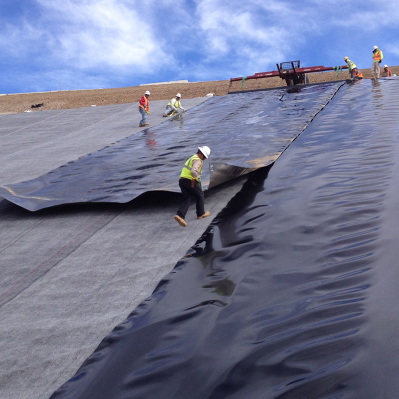 Geomembrane