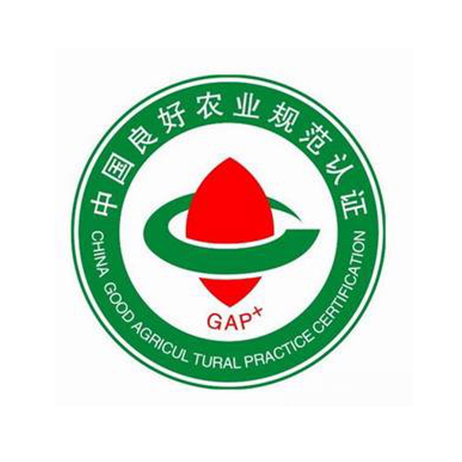 中国良好农业GAP认证