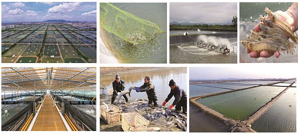 01 Aquaculture and Fishery Photos
