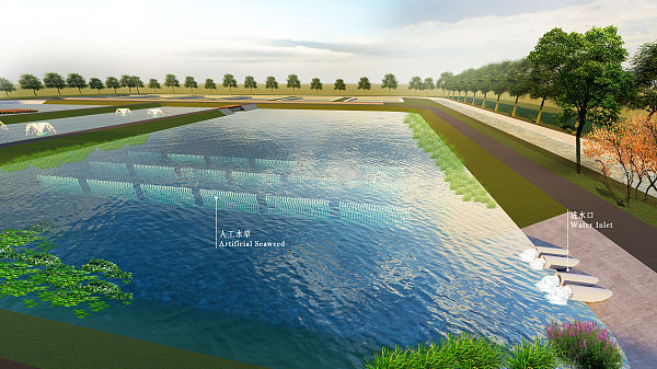 Case 7 Shandong Dongying Aquaculture Wastewater Treatment Project