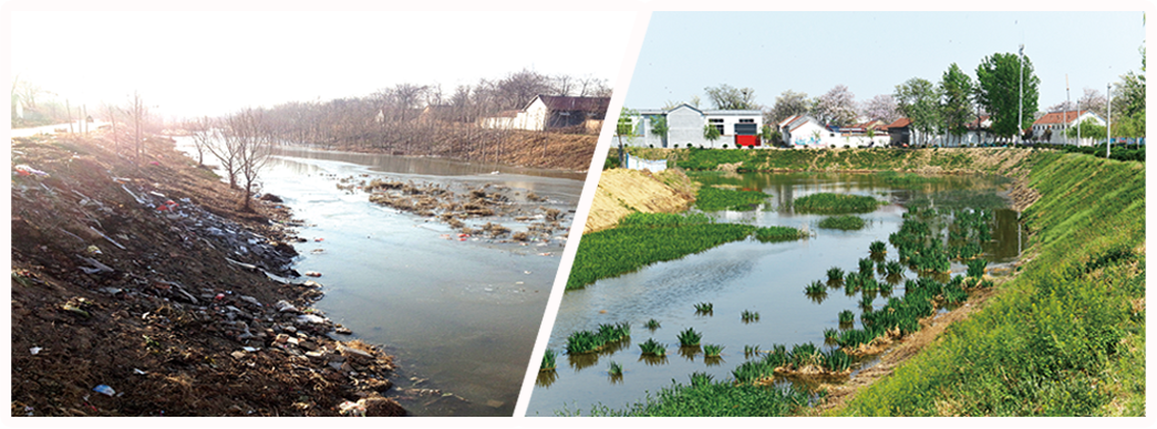 Comprehensive improvement of living environment