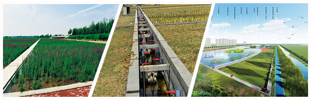 Watershed-type constructed wetland water purification