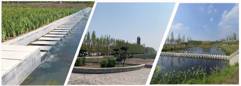 Deep purification of wastewater effluent from constructed wetlands