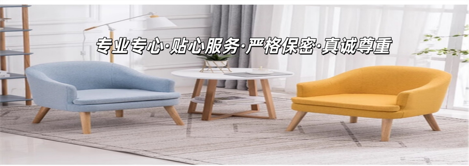 专业专心_副本_副本