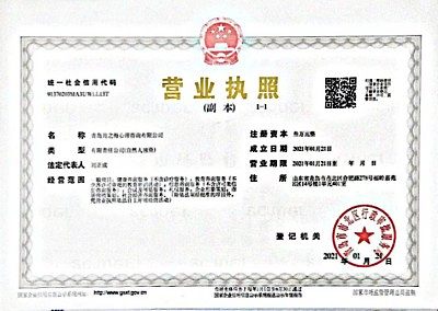 月之海心理咨询中心，以心理咨询专家为骨干，经过近二十年个案咨询实操经验，在资历背景、专业资质、服务规范、职业操守方面均经过长期实践检验。<br />专长领域：<br />1. 儿童青少年咨询，亲子教育指导等。<br />2. 抑郁、强迫、焦虑、恐惧、躯体形式障碍（疑病）、暴食等。<br />3. 职业职场问题、人际关系问题、社会事件问题、创伤经历问题等。<br />4. 婚恋情感家庭咨询。<br />5. EAP服务，团体沙龙讲座、心理测评筛查、职工访谈等。