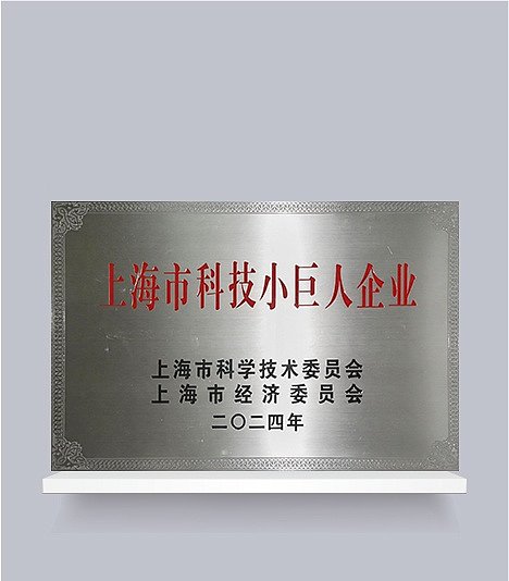 上海市科技小巨人企业